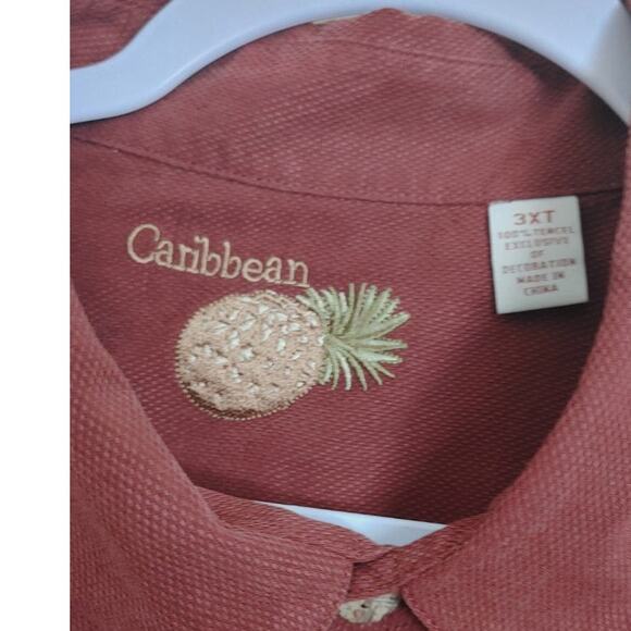 Caribbean Joe Mens Shirt Button Front Embroidered 100% Tencel 3XT - Picture 3 of 4